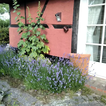 Ferienatelier 1 Steffenshagen